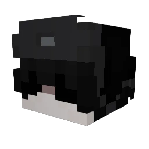 Scooboose Minecraft avatar head, 3D render