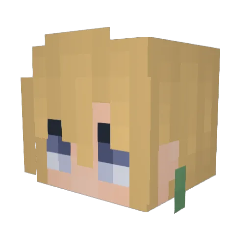 Scooby088 Minecraft avatar head, 3D render