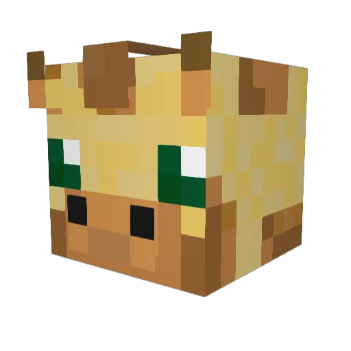 Scooby28 Minecraft avatar head, 3D render