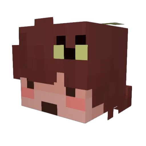 ScoobyDont35 Minecraft avatar head, 3D render