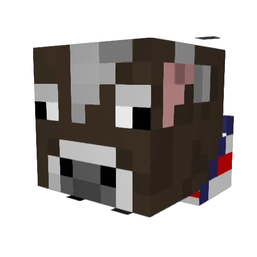 ScoobyDoobyDoo11 Minecraft avatar head, 3D render