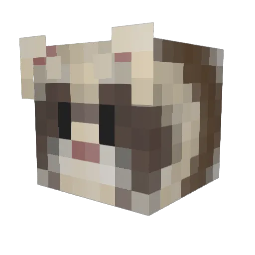 Scooby_Rhino Minecraft avatar head, 3D render