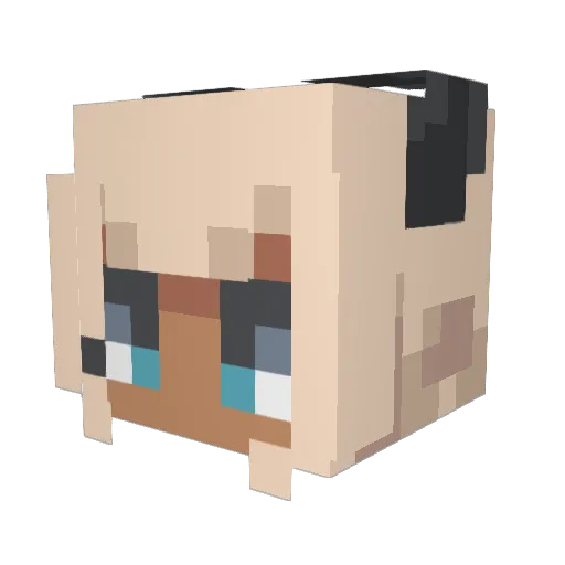 Scoompa Minecraft avatar head, 3D render