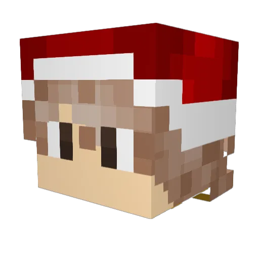 Scooones Minecraft avatar head, 3D render