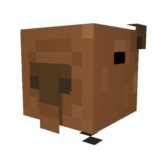 Scooops3 Minecraft avatar head, 3D render