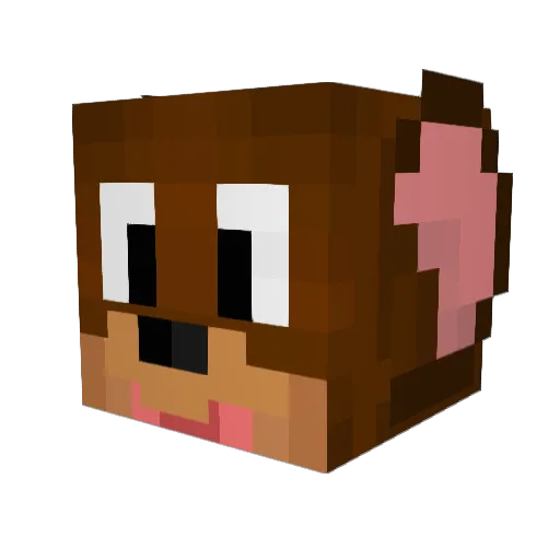 ScoopityDoop Minecraft avatar head, 3D render