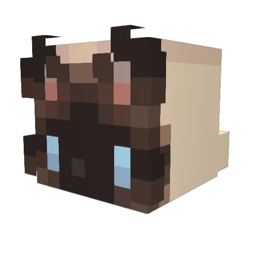 Scopiscop Minecraft avatar head, 3D render