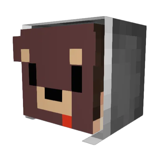 Scoralz_ Minecraft avatar head, 3D render