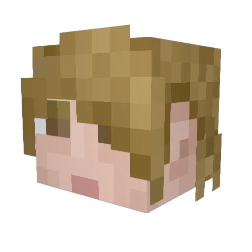 Scorch19 Minecraft avatar head, 3D render