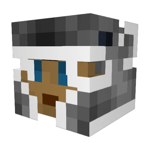 Scorching_Fox Minecraft avatar head, 3D render