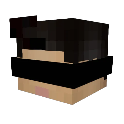 Scorebro Minecraft avatar head, 3D render