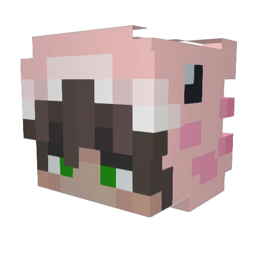 ScorpezYT Minecraft avatar head, 3D render