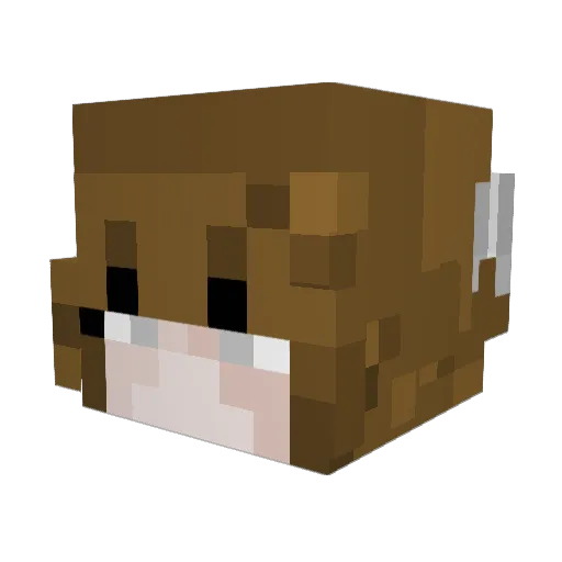 Scorpion787 Minecraft avatar head, 3D render