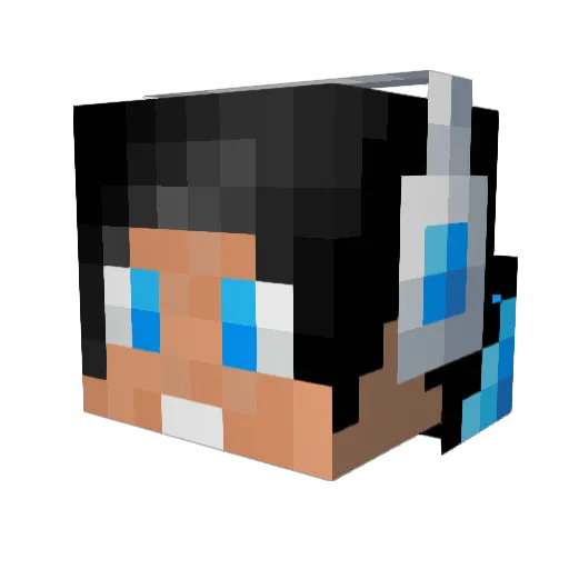 ScorpionGaming20 Minecraft avatar head, 3D render