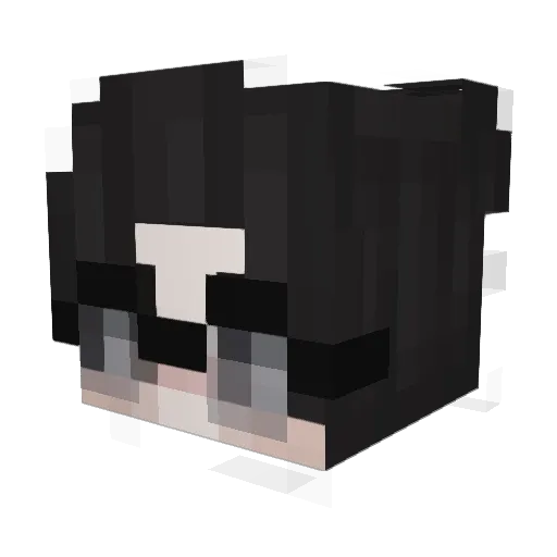 Scorwynn Minecraft avatar head, 3D render
