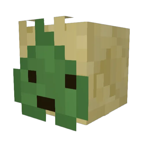 ScotaCinthe Minecraft avatar head, 3D render