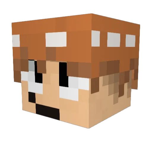 ScottPilgrim18 Minecraft avatar head, 3D render