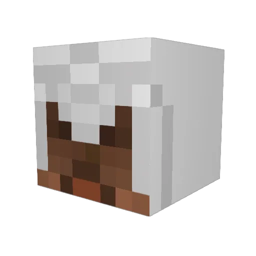 Scott_97 Minecraft avatar head, 3D render
