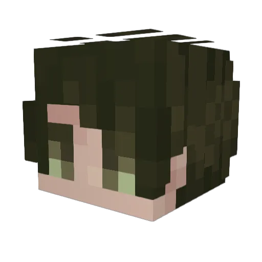 Scott_FR Minecraft avatar head, 3D render