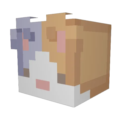Scott_IRL Minecraft avatar head, 3D render