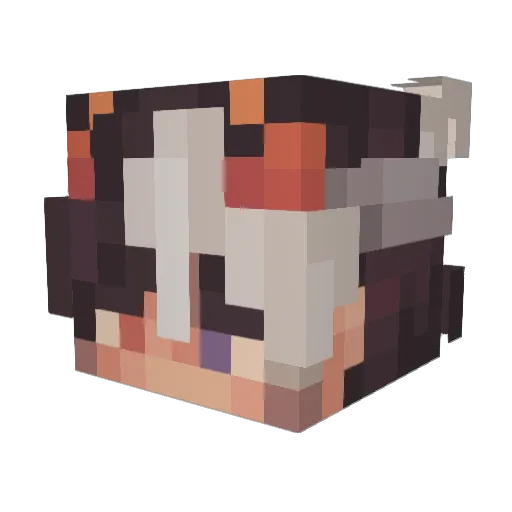 Scottinka Minecraft avatar head, 3D render