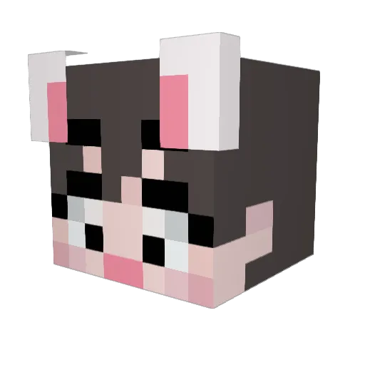 ScottishFold4848 Minecraft avatar head, 3D render