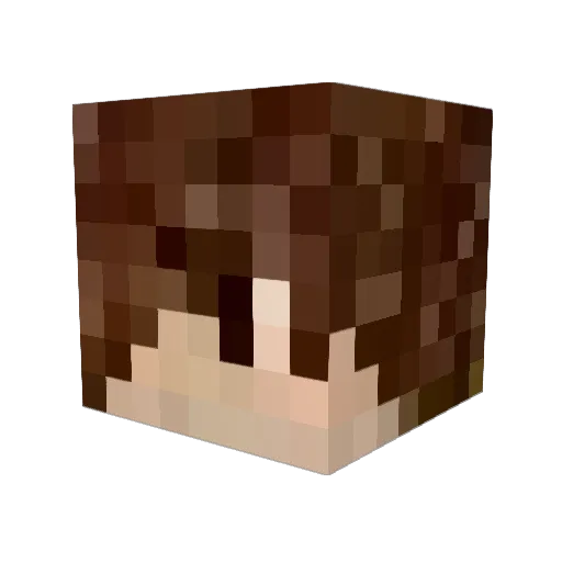 ScotttheStorm Minecraft avatar head, 3D render