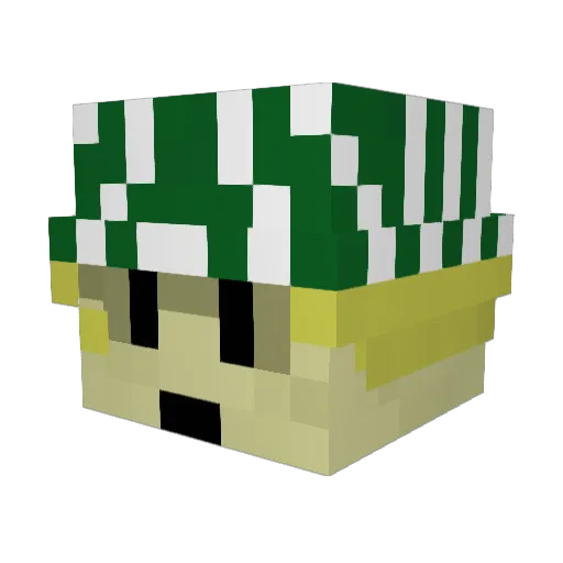 ScottyB2D2 Minecraft avatar head, 3D render