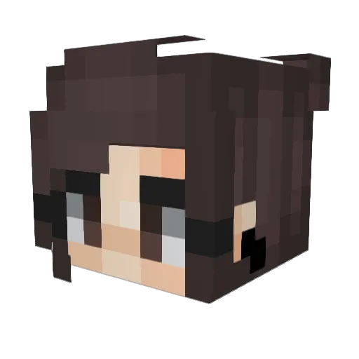 Scoutberry Minecraft avatar head, 3D render