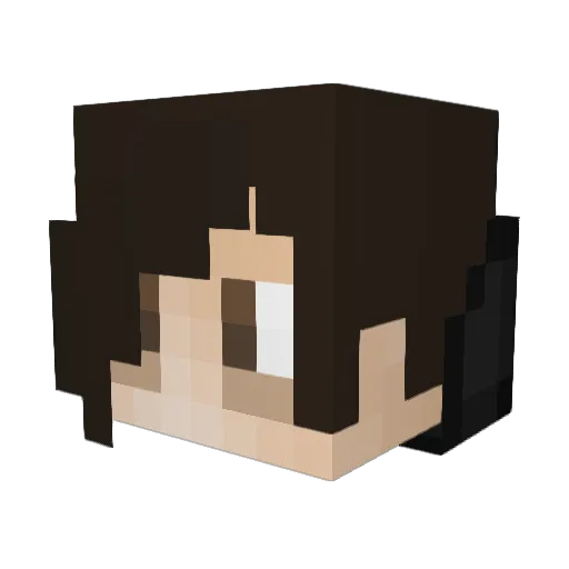 Scovic_ Minecraft avatar head, 3D render