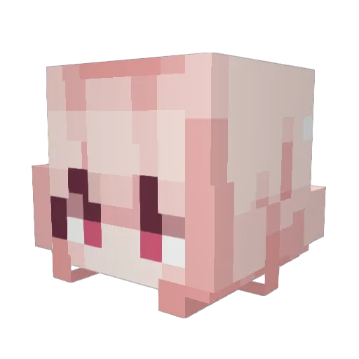 ScowlingRacer30 Minecraft avatar head, 3D render