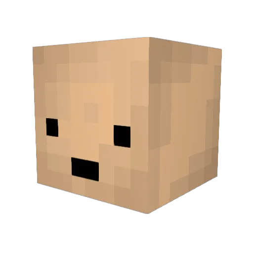 Scowski Minecraft avatar head, 3D render