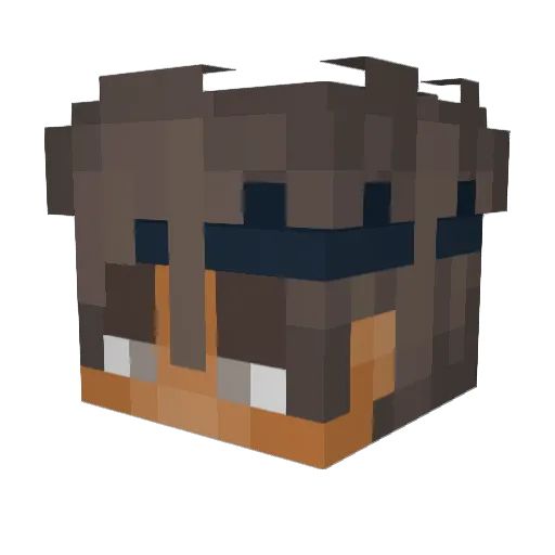 Scraggy__46 Minecraft avatar head, 3D render