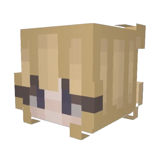ScrambledMegs99 Minecraft avatar head, 3D render