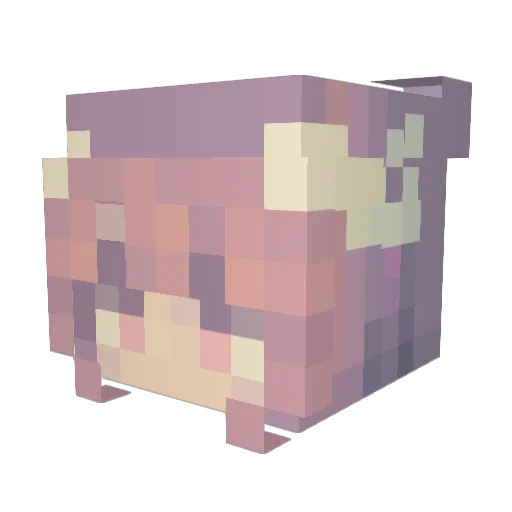 Scrandeezy Minecraft avatar head, 3D render