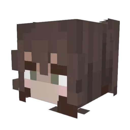 ScrapingBrains Minecraft avatar head, 3D render