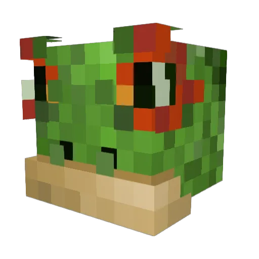Scratcher_Gamer Minecraft avatar head, 3D render