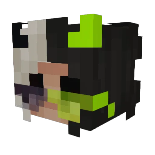 ScreeJilly Minecraft avatar head, 3D render