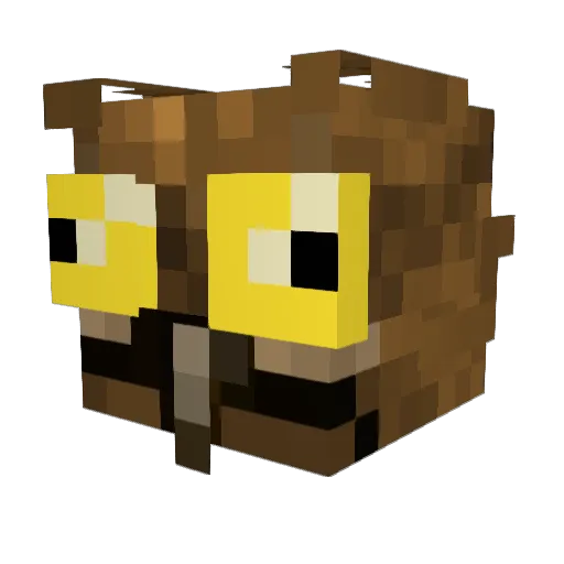 ScreechTheOwl Minecraft avatar head, 3D render