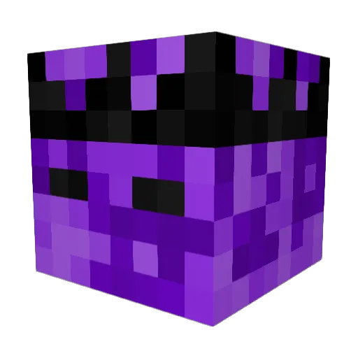 ScreenedMedal81 Minecraft avatar head, 3D render