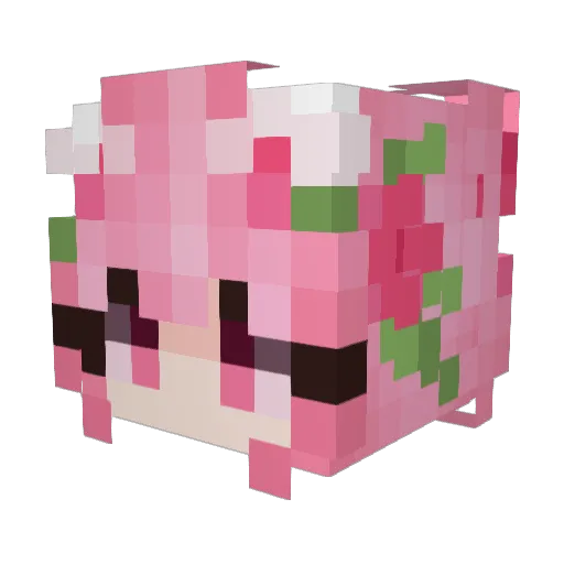 Screenshorts Minecraft avatar head, 3D render