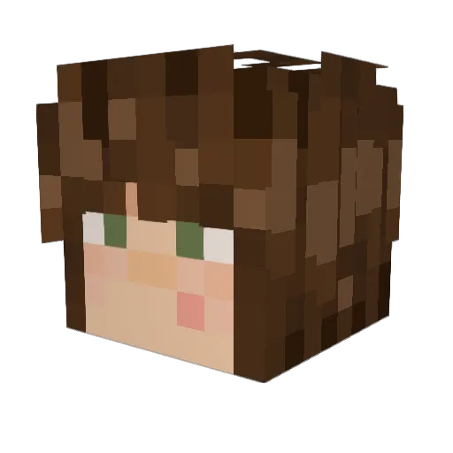 Screester Minecraft avatar head, 3D render