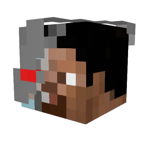 Screwdriver_ Minecraft avatar head, 3D render