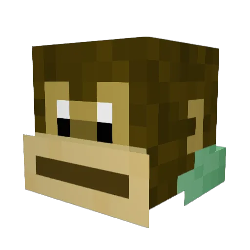 Scribblezs Minecraft avatar head, 3D render