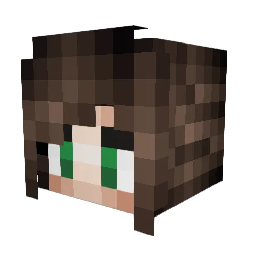Script20 Minecraft avatar head, 3D render