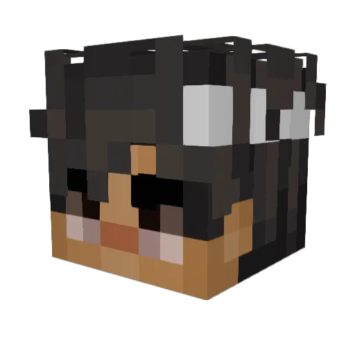 ScriptedNolan Minecraft avatar head, 3D render