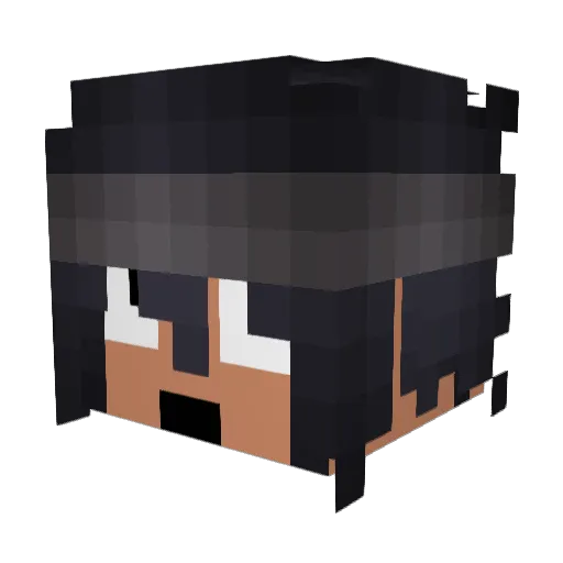 Scripties Minecraft avatar head, 3D render