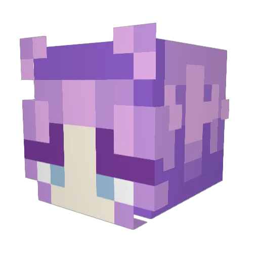 Scrollsmash2 Minecraft avatar head, 3D render