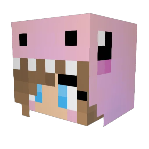 Scroogie Minecraft avatar head, 3D render