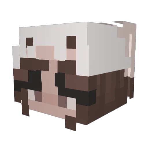 ScrubaDubTub Minecraft avatar head, 3D render
